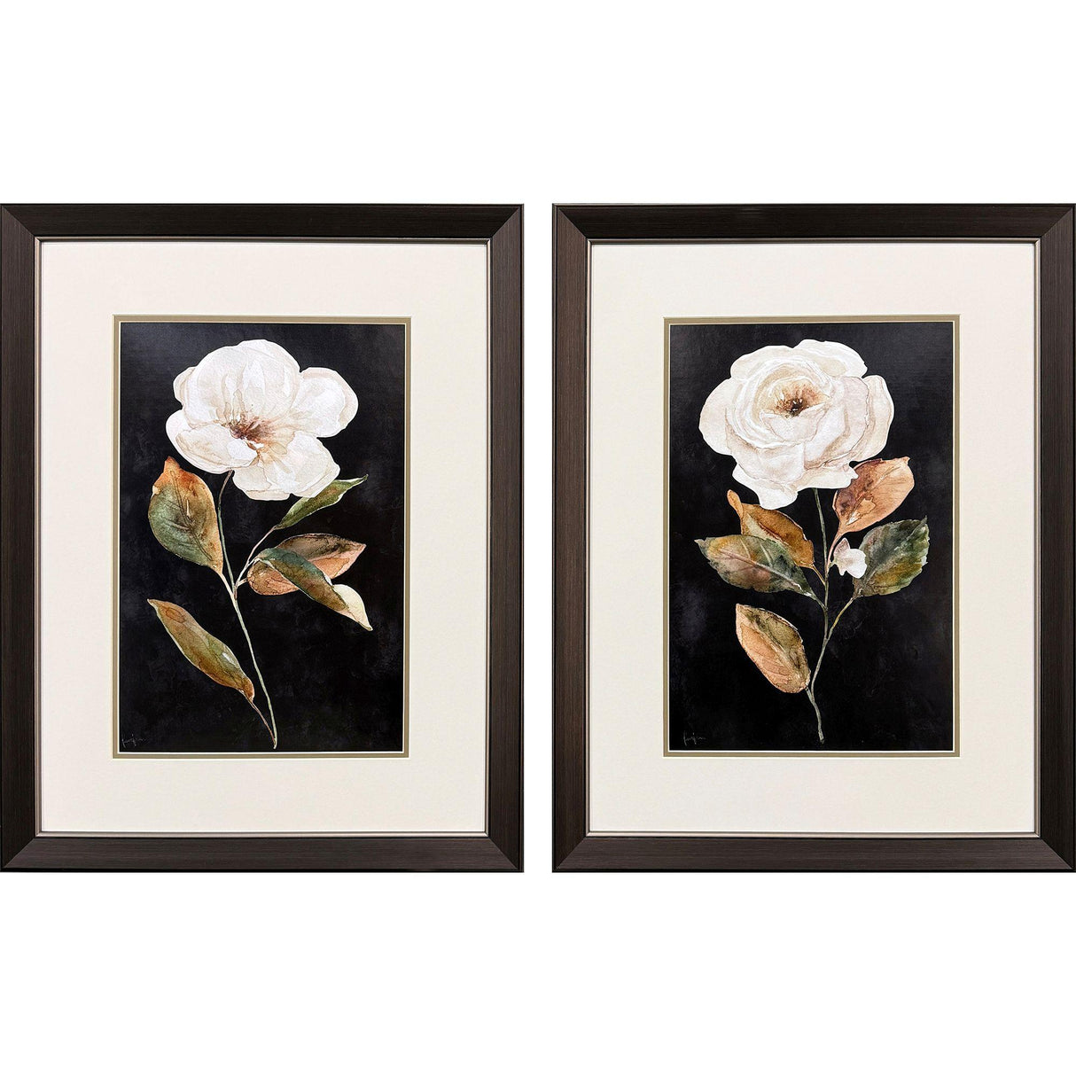 Paragon Botanical on Black S/2 Black 27 X 21 X 1 Wall Art