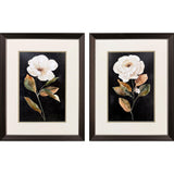 Paragon Botanical on Black S/2 Black 27 X 21 X 1 Wall Art