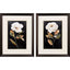 Paragon Botanical on Black S/2 Black 27 X 21 X 1 Wall Art