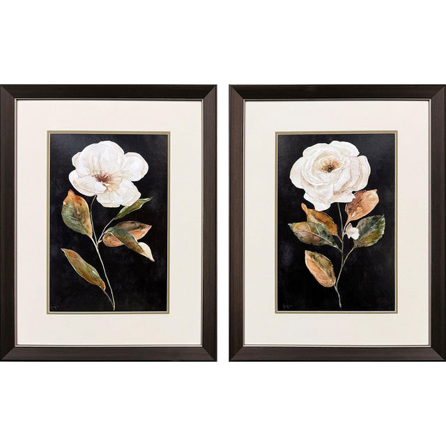 Paragon Botanical on Black S/2 Black 27 X 21 X 1 Wall Art
