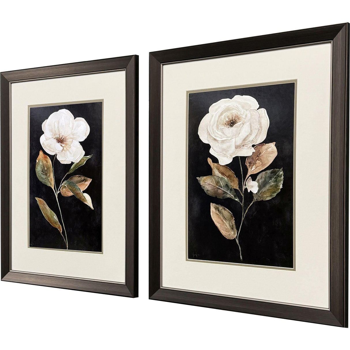 Paragon Botanical on Black S/2 Black 27 X 21 X 1 Wall Art