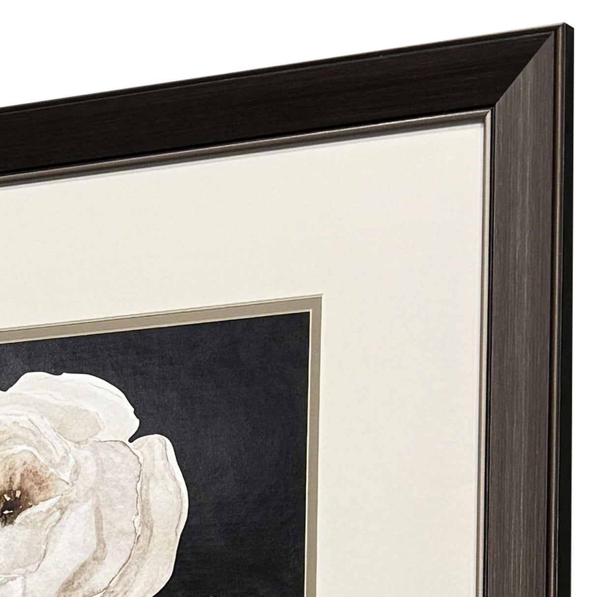 Paragon Botanical on Black S/2 Black 27 X 21 X 1 Wall Art