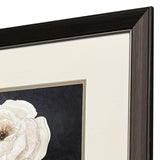 Paragon Botanical on Black S/2 Black 27 X 21 X 1 Wall Art
