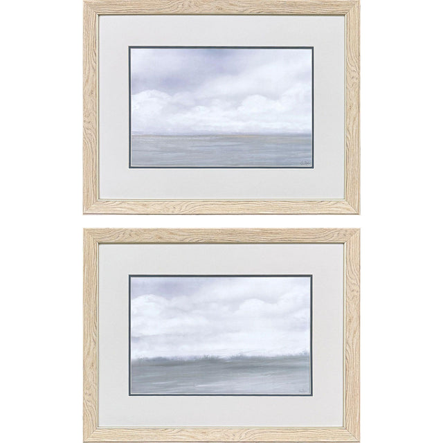 Paragon Misty Plain S/2 Gray 21 X 27 X 1 Wall Art