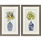 Paragon Lemon Tree Pot S/2 Blue 33 X 21 X 1 Wall Art