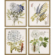Paragon Lacy Leaves S/4 Neutral 21 X 17 X 2 Wall Art
