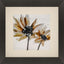Paragon Sepia Bloom I Orange 34 X 34 X 2 Wall Art