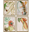 Paragon Tropical Variety S/4 Orange 25 X 19 X 2 Wall Art
