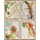 Paragon Tropical Variety S/4 Orange 25 X 19 X 2 Wall Art