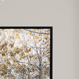 Paragon White Gold White 50 X 50 X 3 Wall Art