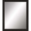 Paragon #808 22 X 28 Beveled Brown 33 X 27 X 2 Wall Mirror