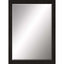 Paragon #808 24 X 36 Beveled Brown 41 X 29 X 2 Wall Mirror