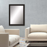 Paragon #808 24 X 36 Beveled Brown 41 X 29 X 2 Wall Mirror