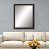 Paragon #808 30 X 40 Beveled Brown 45 X 35 X 2 Wall Mirror