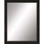 Paragon #808 36 X 48 Beveled Brown 53 X 41 X 2 Wall Mirror