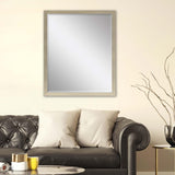 Paragon #854 30 X 40 Beveled Metallic 43 X 33 X 2 Wall Mirror