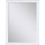 Paragon #463 24 x 36 Beveled White 40 X 28 X 1 Wall Mirror