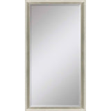 Paragon #543 30 x 72 Beveled Metallic 76 X 34 X 3 Wall Mirror