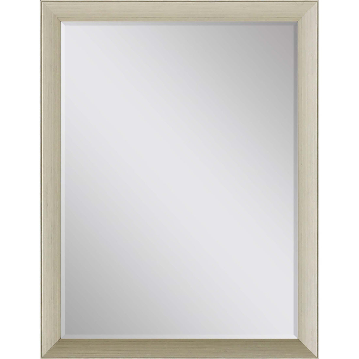 Paragon #202 24 x 36 Beveled Metallic 39 X 27 X 2 Wall Mirror