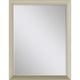 Paragon #202 24 x 36 Beveled Metallic 39 X 27 X 2 Wall Mirror