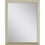 Paragon #202 24 x 36 Beveled Metallic 39 X 27 X 2 Wall Mirror