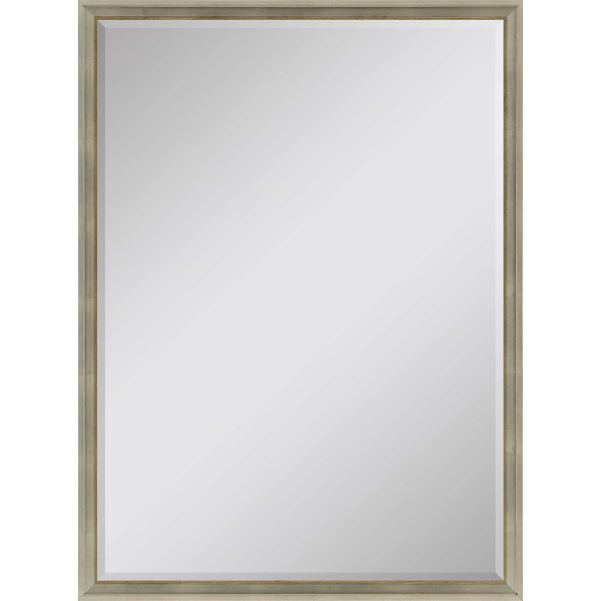 Paragon #180 24 x 36 Beveled Metallic 38 X 26 X 3 Wall Mirror