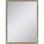 Paragon #180 24 x 36 Beveled Metallic 38 X 26 X 3 Wall Mirror