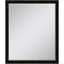 Paragon #535 22 x 28 Beveled Black 32 X 26 X 2 Wall Mirror