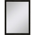 Paragon #535 24 x 36 Beveled Black 40 X 28 X 2 Wall Mirror