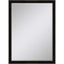 Paragon #535 24 x 36 Beveled Black 40 X 28 X 2 Wall Mirror