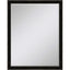 Paragon #535 30 x 40 Beveled Black 44 X 34 X 2 Wall Mirror