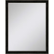 Paragon #535 36 x 48 Beveled Black 52 X 40 X 2 Wall Mirror