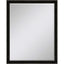 Paragon #535 36 x 48 Beveled Black 52 X 40 X 2 Wall Mirror