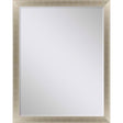 Paragon #790 30 x 40 Beveled Metallic 45 X 35 X 2 Wall Mirror