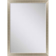 Paragon #790 24 x 36 Beveled Metallic 41 X 29 X 2 Wall Mirror
