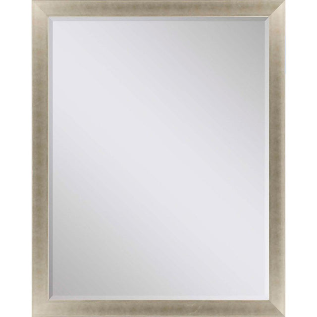 Paragon #790 36 x 48 Beveled Metallic 53 X 41 X 2 Wall Mirror