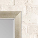 Paragon #790 36 x 48 Beveled Metallic 53 X 41 X 2 Wall Mirror