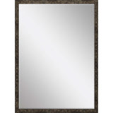 Paragon #712 24 x 36 Beveled Metallic 38 X 26 X 2 Wall Mirror