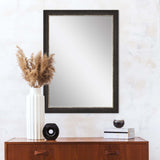 Paragon #843 24 x 36 Beveled Brown 41 X 29 X 2 Wall Mirror