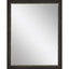 Paragon #843 30 x 40 Beveled Brown 45 X 35 X 2 Wall Mirror