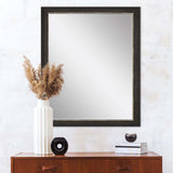 Paragon #843 30 x 40 Beveled Brown 45 X 35 X 2 Wall Mirror