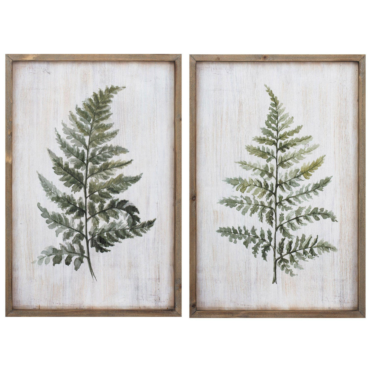 Paragon Ferns S/2 Green 24 X 16 X 1 Wall Art