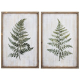 Paragon Ferns S/2 Green 24 X 16 X 1 Wall Art