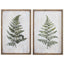 Paragon Ferns S/2 Green 24 X 16 X 1 Wall Art
