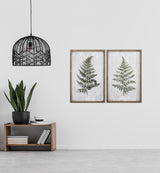 Paragon Ferns S/2 Green 24 X 16 X 1 Wall Art