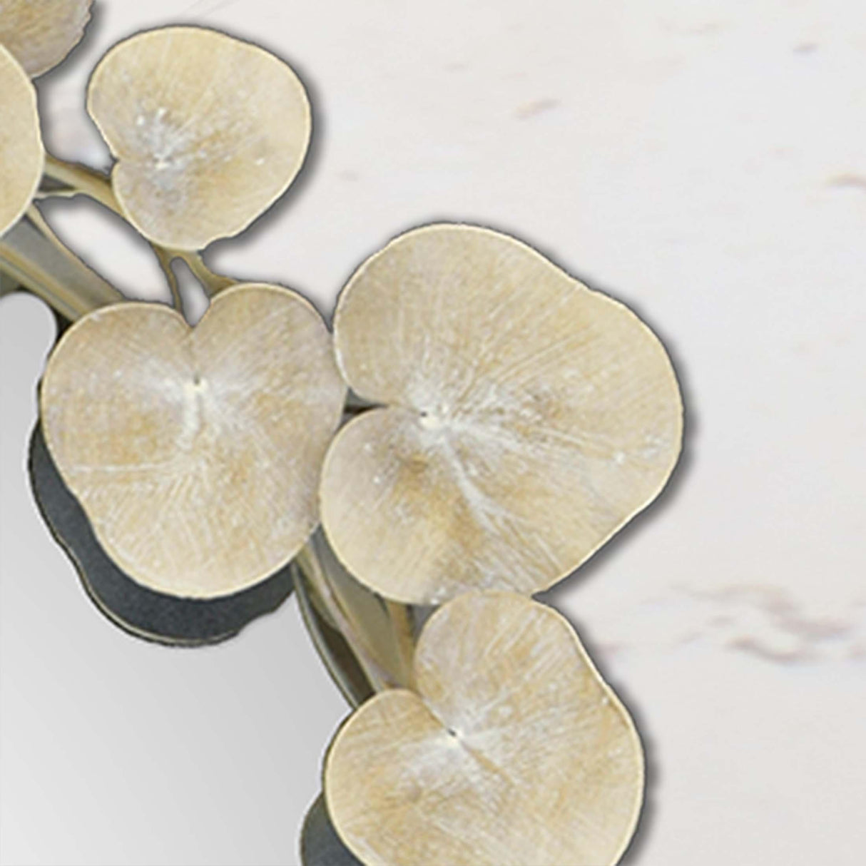 Paragon Eucalyptus Mirror Metallic 29 X 29 X 3 Wall Mirror