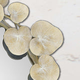 Paragon Eucalyptus Mirror Metallic 29 X 29 X 3 Wall Mirror