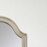 Paragon Ainsworth Mirror Metallic 52 X 28 X 2 Wall Mirror