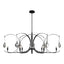 Hubbardton Forge 2024 Black Sterling Clear Glass (ZM) Multi Optic 8-Light Oval Pendant