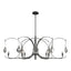 Hubbardton Forge 2024 Natural Iron Sterling Clear Glass (ZM) Multi Optic 8-Light Oval Pendant
